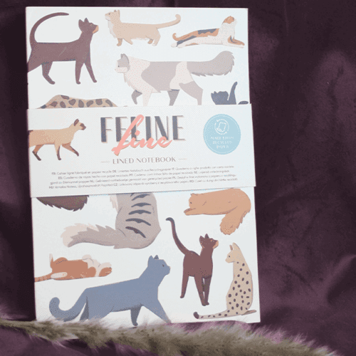 Feline Fine kissakuvitteinen muistikirja