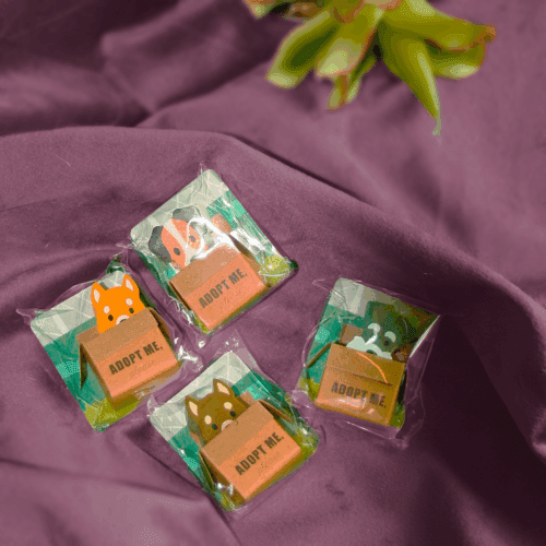 Adoptoi minut – koirapyyhekumi