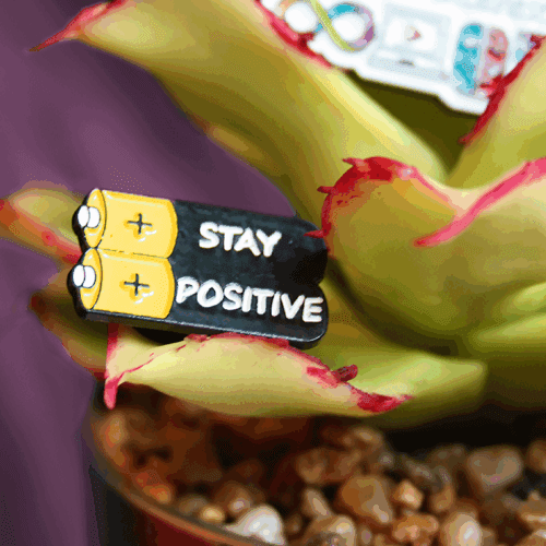 Stay positive pinssi